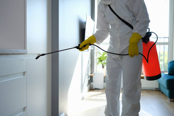 Best Home Mold Removal  in Pasadena Hills, FL